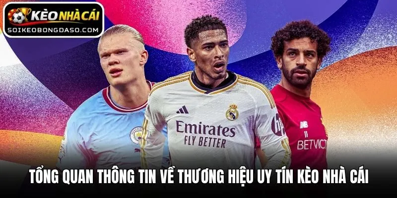 Keonhacai - Kèo Nhà Cái Hôm Nay Cập Nhật Mới Nhất 24/7 9 Tổng quan thông tin về thương hiệu uy tín Kèo nhà cái